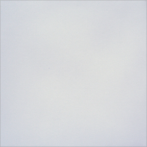 THE PARTY IS OVER - TEST PRESSING EDITION