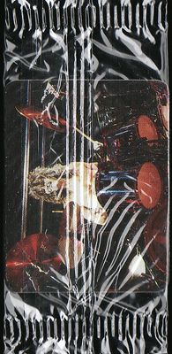 MOTLEY CRUE - COLLECTOR CARD